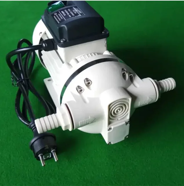 PVDF housing Adblue Pump for Urea Adblue DC 12V AC 220V motor DEF chemical diaphragm price dispenser electric adblue pump