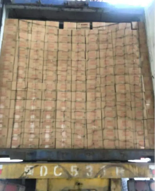 High Quality Canned Whole Mushroom Champignon in Conserva