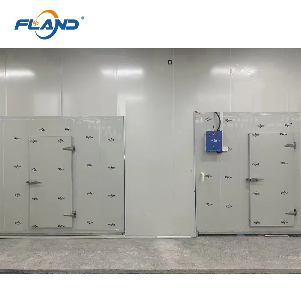 China good hinged door cold room reefer frozen room cold storage freezer room