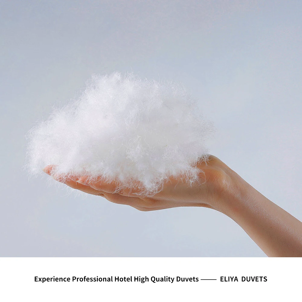 Eliya Cotton Bed Sheet 4 Pcs Bedding Set Elegant Duvet Bedding Set 500 Thread Count 100% Cotton Sheet