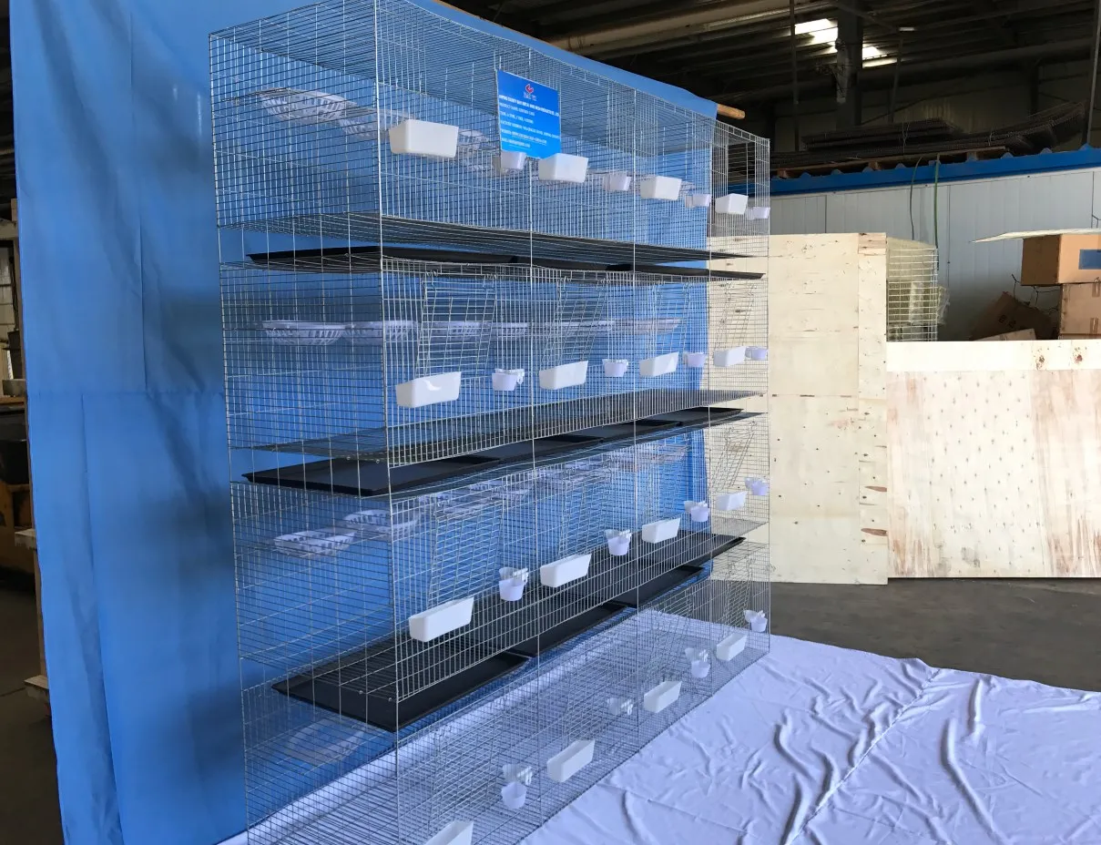 Клетки для голубей нового дизайна рынка Саудовской Аравии