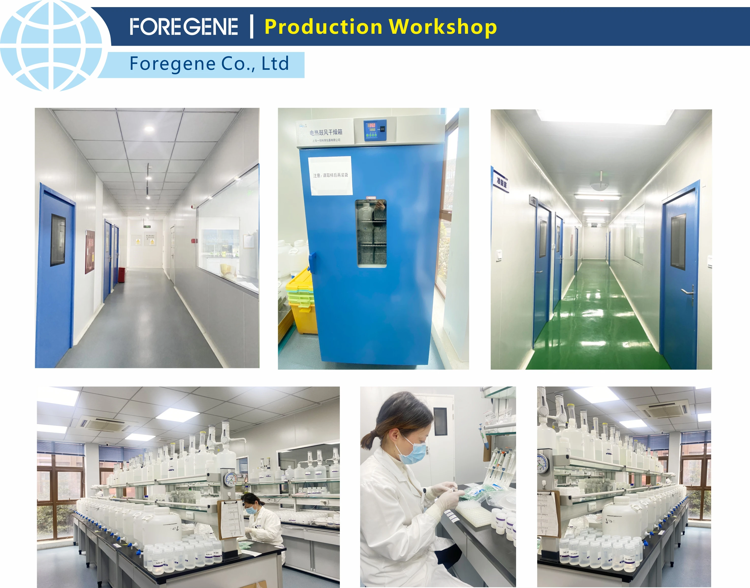 6.Production line.jpg