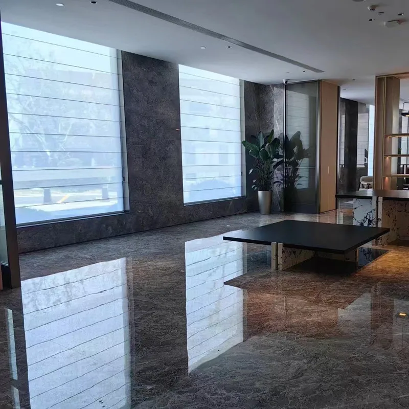 Interior New Design Fabric Curtain Sunscreen and Blackout Roman Shade Blind with Manual or Motorized System