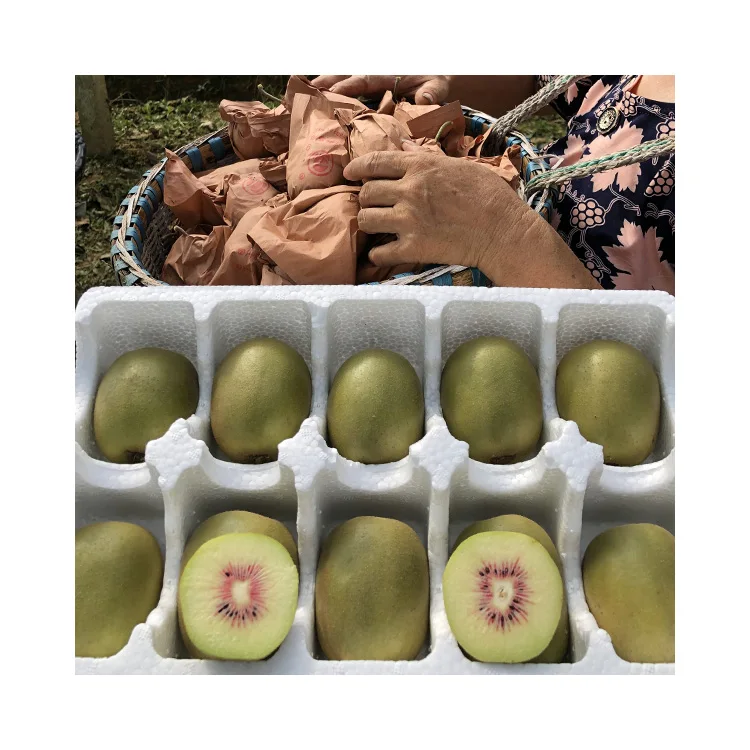 High Quality Kiwifruit Pure Nature Great Taste Kiwi Fruit Rich In Vc