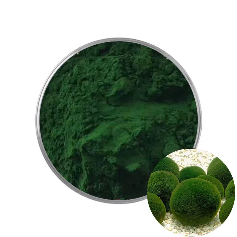 100% Naturally High Quality Chlorella Powder In Bulk Chlorella Extract