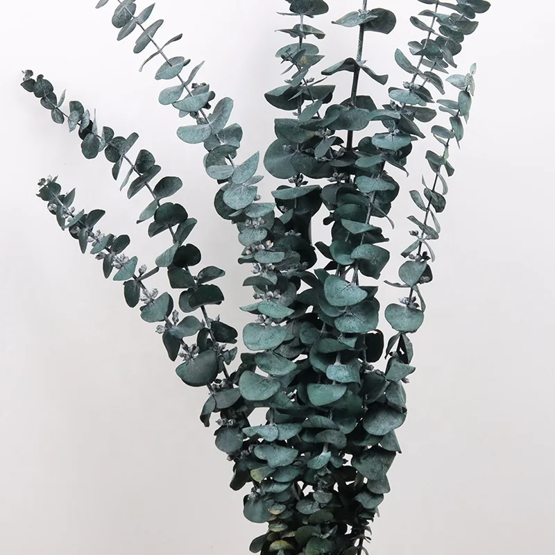 wall decoration white dried plants eucalyptus leaves wreath flower garland preserved flowers dried preserved