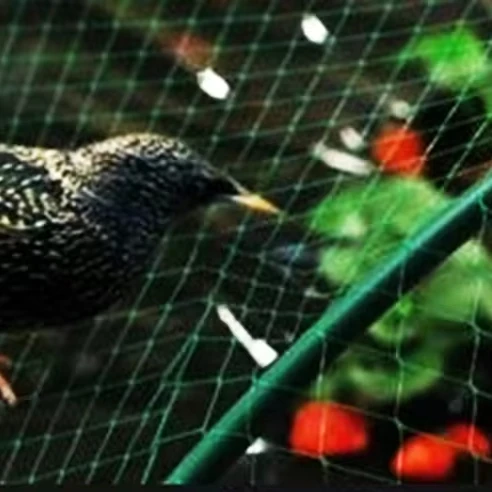 BOP PP Plastic Stretch anti-bird, anti-deer nets, poultry farm fence BOP Stretched net