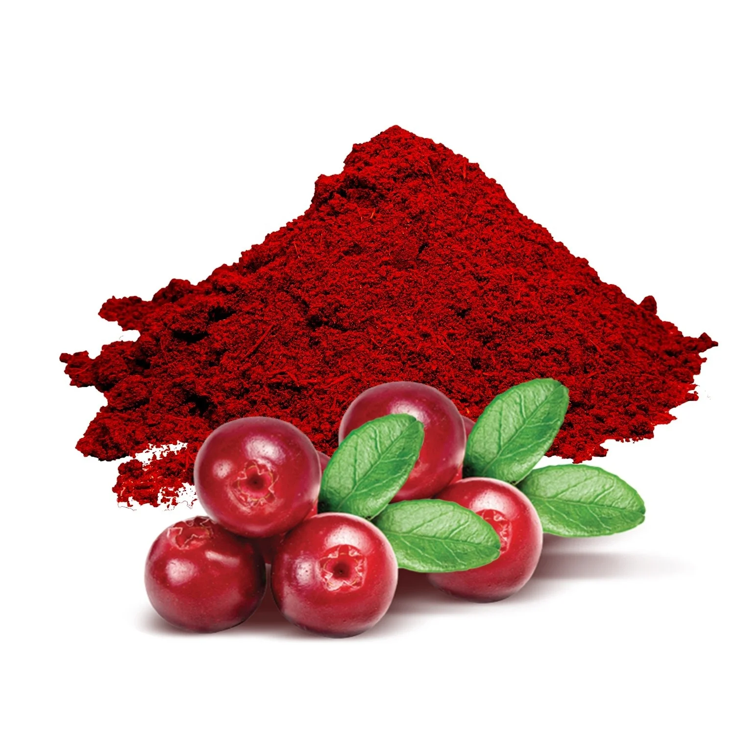 100% Organic Cranberry Extract 10%-50% Proanthocyanidins Cranberry Extract Powder bulk Bulk Price
