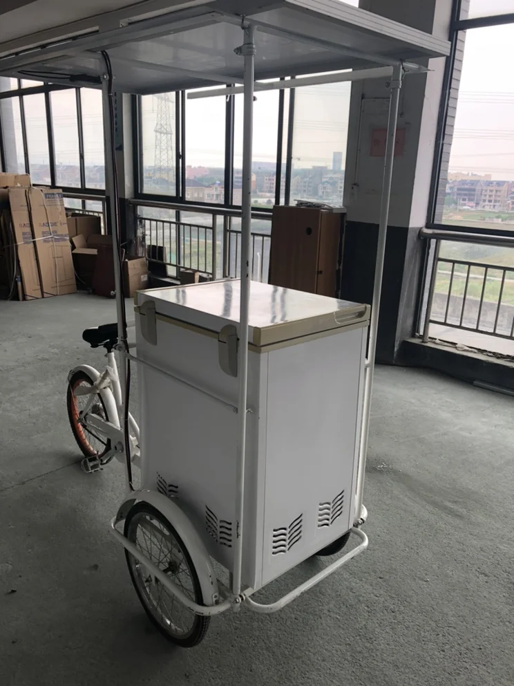 BD/BC-118  118liter solar freezer with electric tricycle Built-in battery solar ice cream tricycle sell ice cream mobile shop