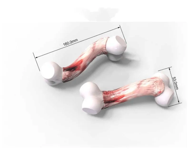 Dog Toothbrush Stick durable bone toys dog chew Bones for Aggressive Chewers Large Breed