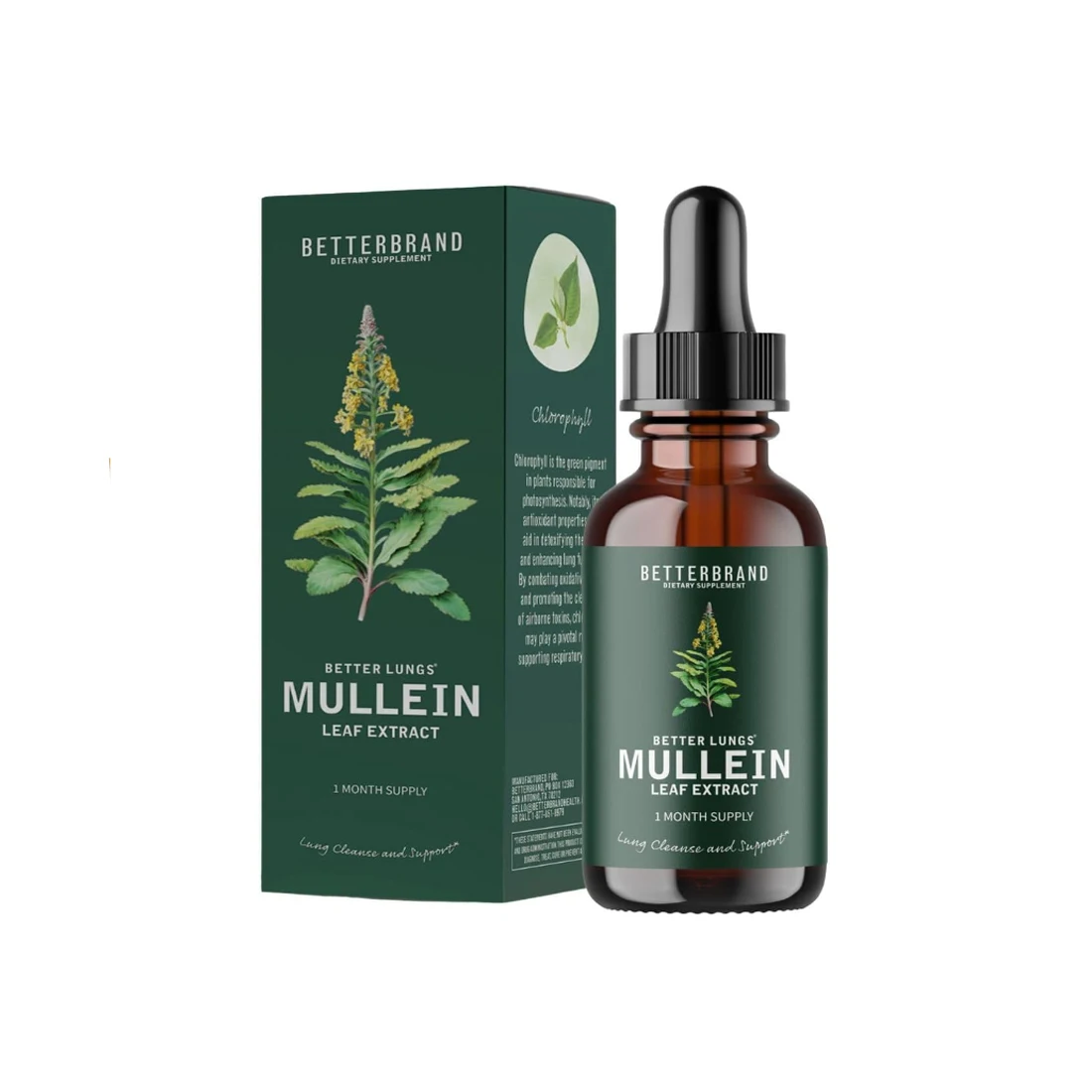 2024 New design Essential Oil packaging box skincare box toothpaste box