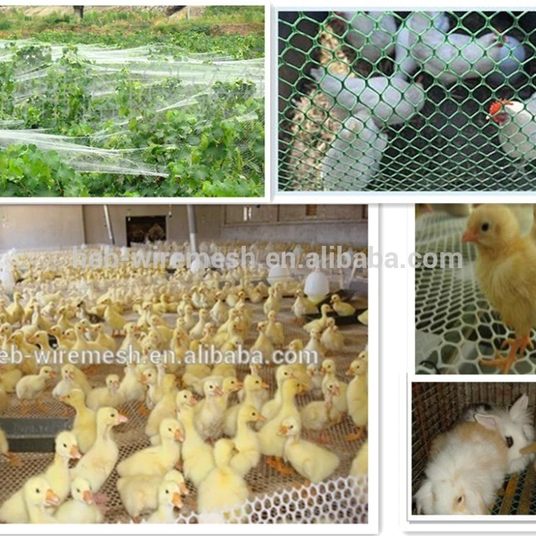 Plastic Chicken Floor Mesh