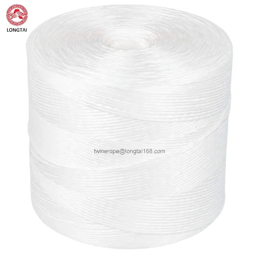 Strong support 1/1000 raffia raw poly baler soft twine white 6 kg (6000m) for tomato cucumber cultivation