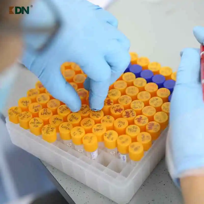 Liquid Lipase Enzyme For Biodiesel Production