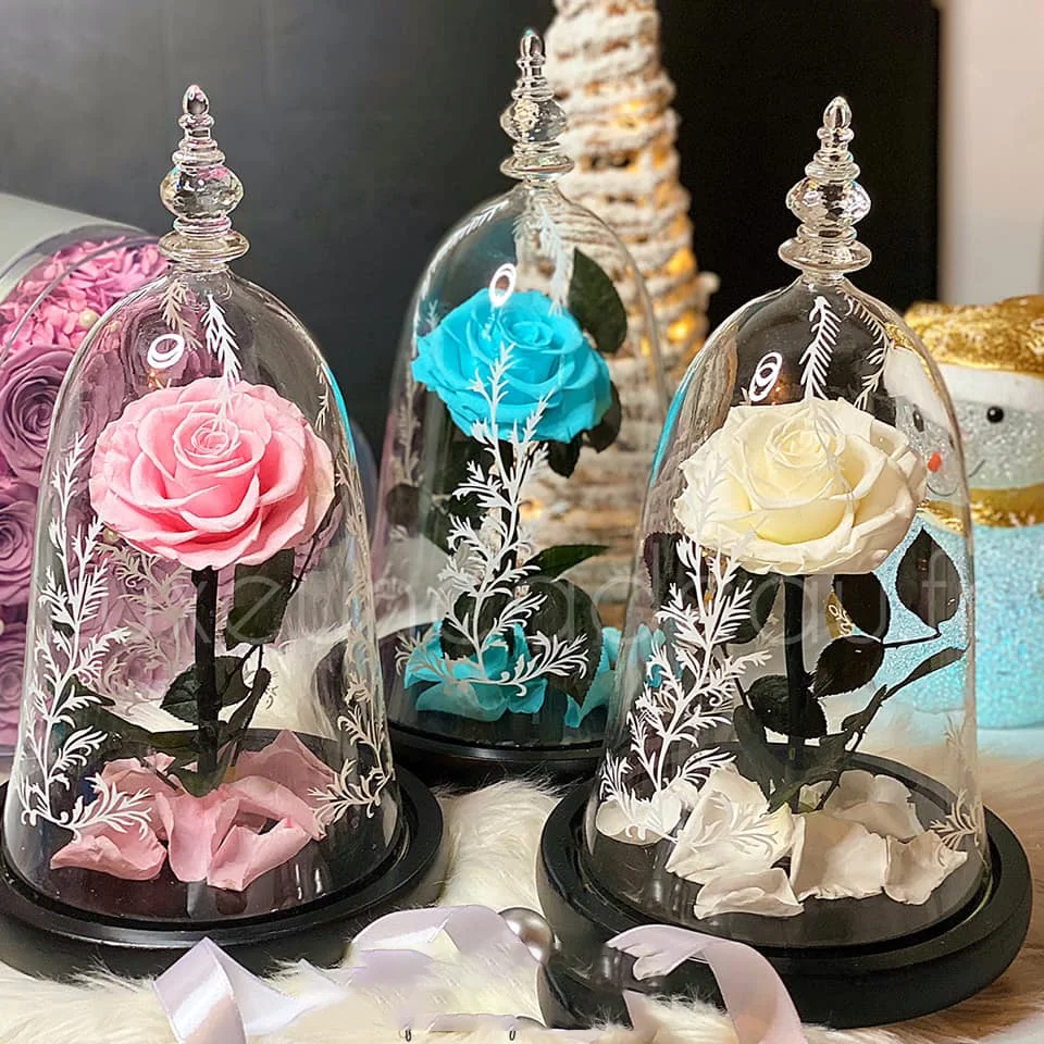 bella y bestia bella y la bestia flor de la bella y la bestia Enchanted Rose Beauty And The Beast Preserved Rose In Glass