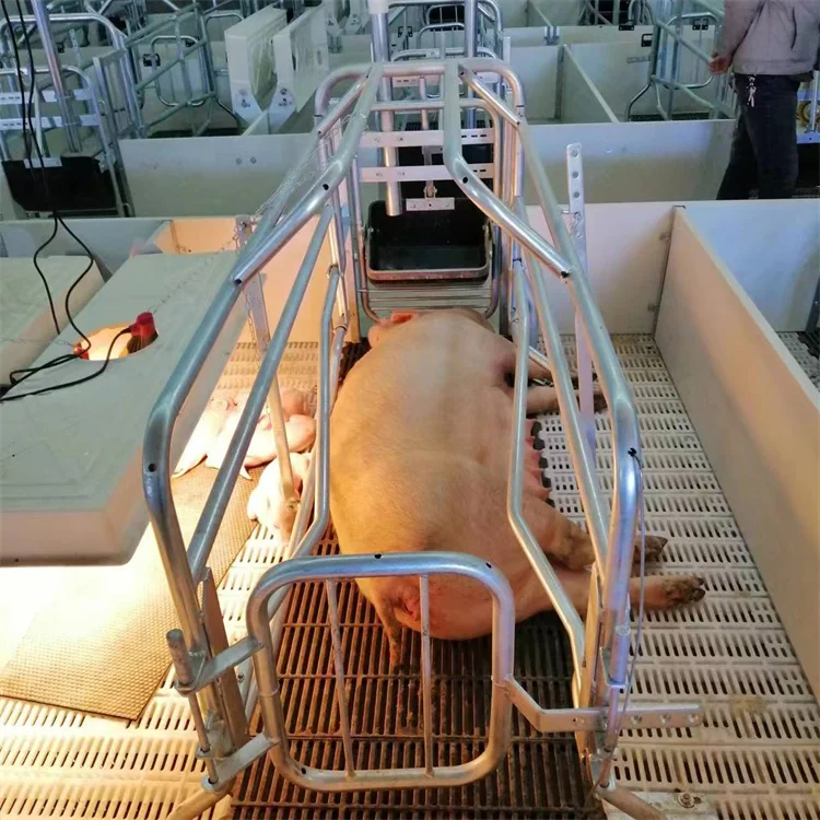 High-Quality Farm Raising Equipment Cast Pen Sow Farrowing Crate Pig Sow Cages