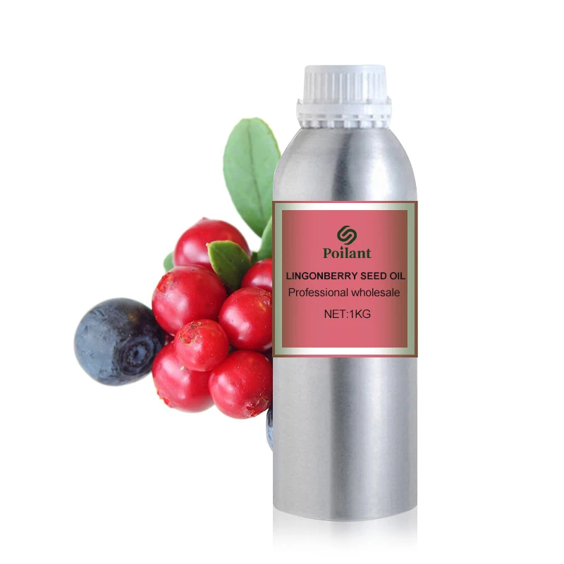 Wholesale Price Organic Lingonberry Seed Oil For Skin / Massage Carrier oil Bulk