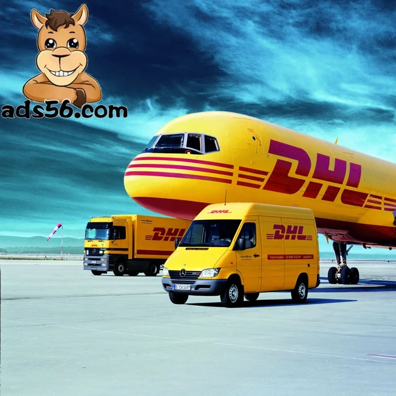 sea shipping for free shipping goods to Nassau  LCL sea shipping forwarding-- wechat 86 15271797980