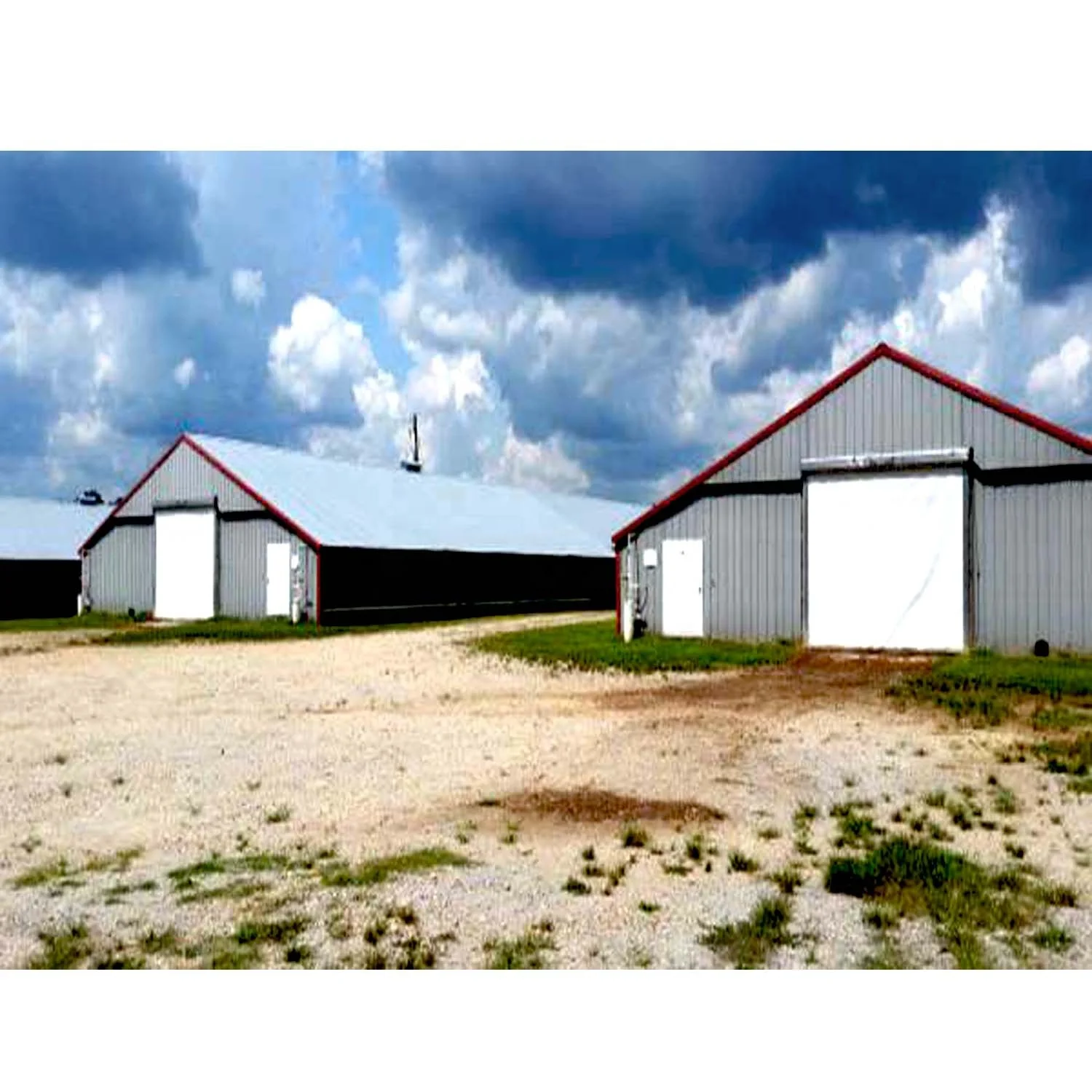 
 Различные типы птицеферм, строительный куриный домик, дизайн для курицы  