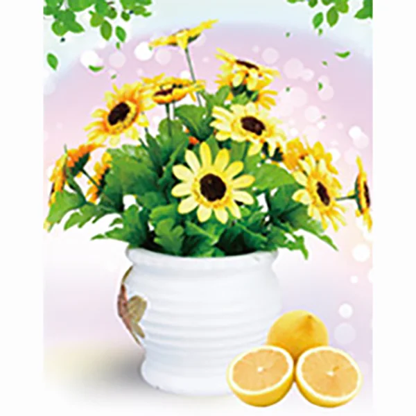 Print On Canvas Triptych Flowers Paintings DIY 2021 Diamond Painting