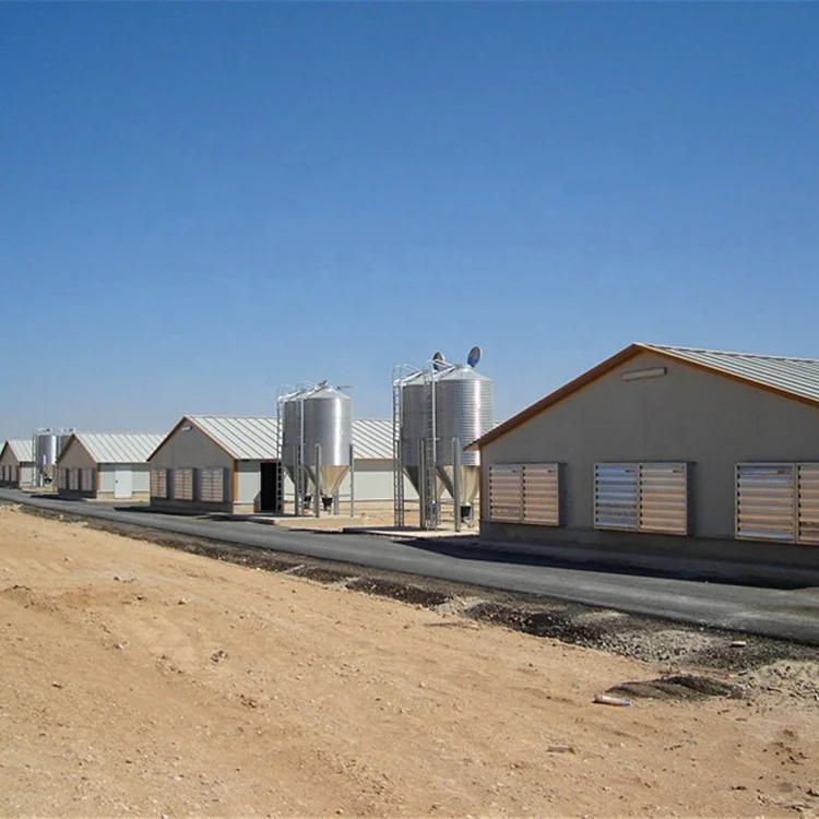 Animal feeder poultry Chicken farming house equipment for broiler/breeder/laying/chick