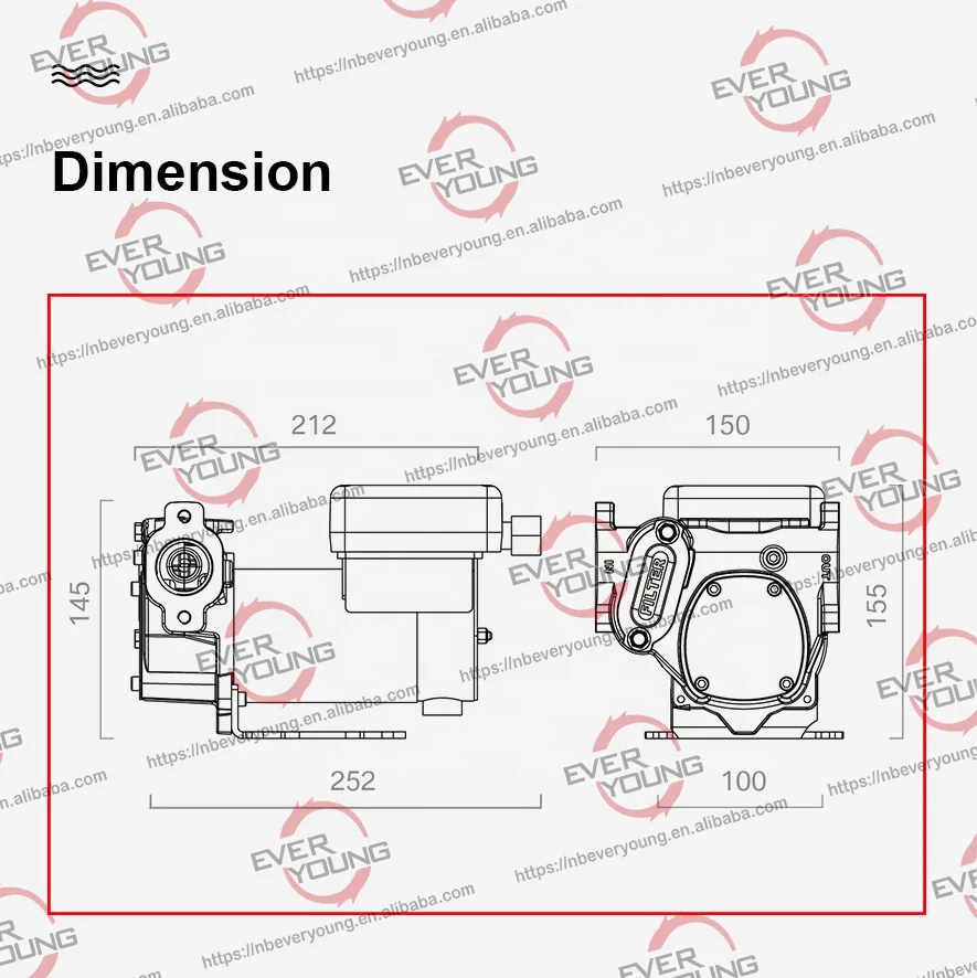 Fuel transfer pump 35LPM/70LPM Dual voltage diesel transfer pump 12V/24V
