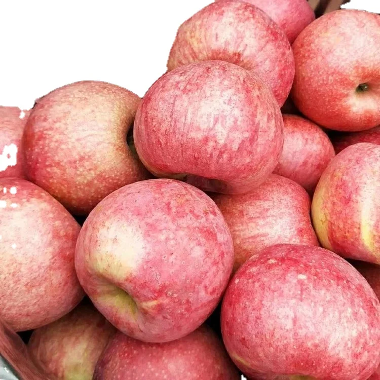 Factory Direct Fresh Apple Fruit Wholesale Distributors Export Red Delicious Fruit Fresh Apple
