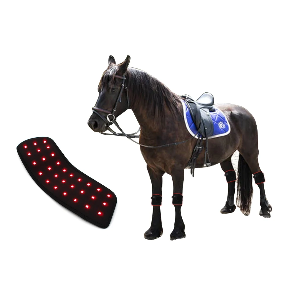 New Coming Portable 660nm 850nm Horse Red Light Therapy Machine LED Red Light Infrared Therapy Knee For Horse