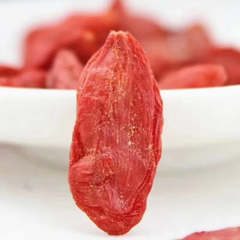 Wolfberry Goji Berries Hot Selling High Chinese New Corp Red Medlar Lyciun Plus Chinese Wolfberry Dried Fruit ningxia goji berry