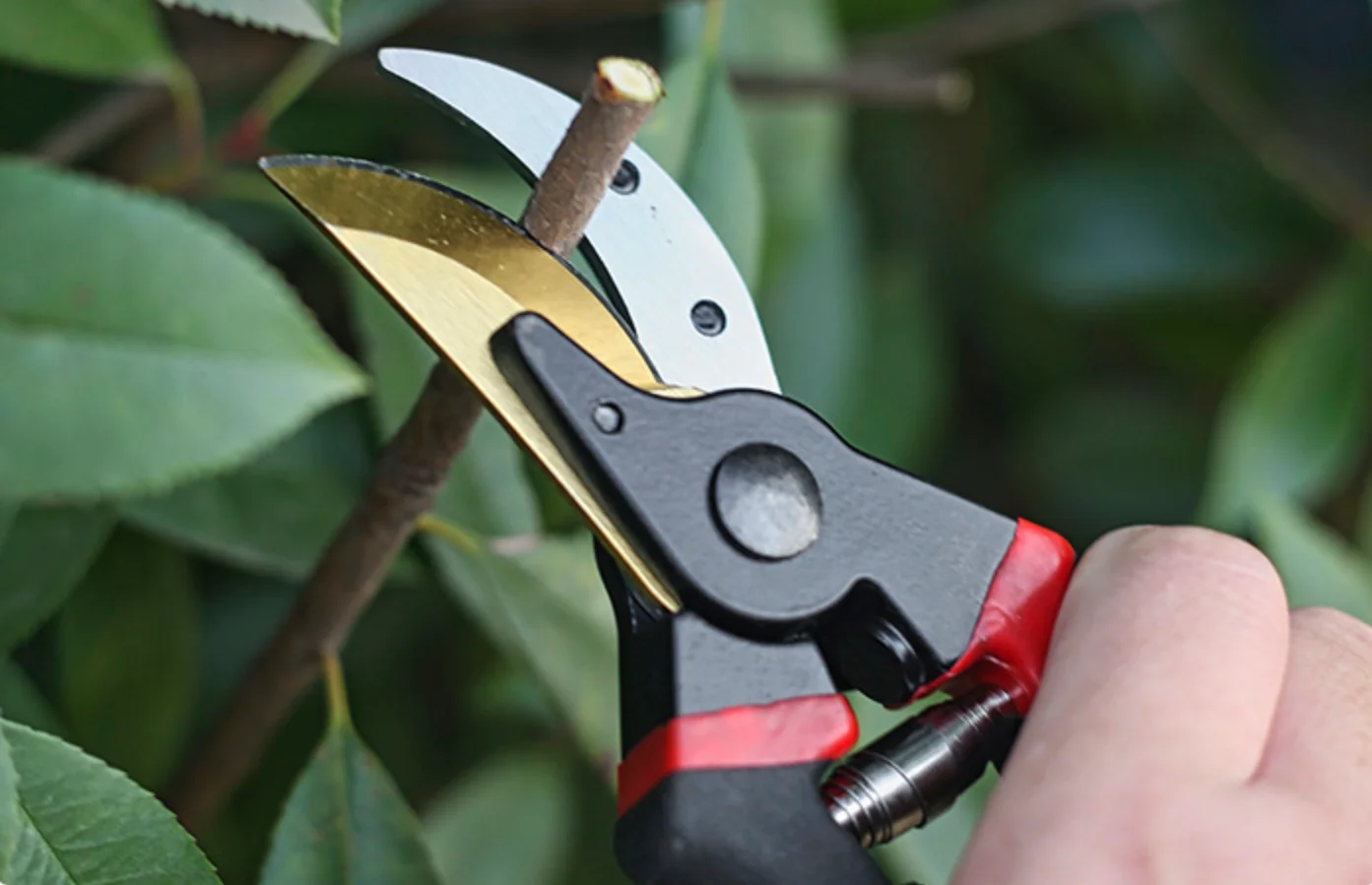 Top Seller Electrician Safety Lock Spring Scissors Stainless Steel Wire Shears Hot Sales for Garden Pruning Tool Set