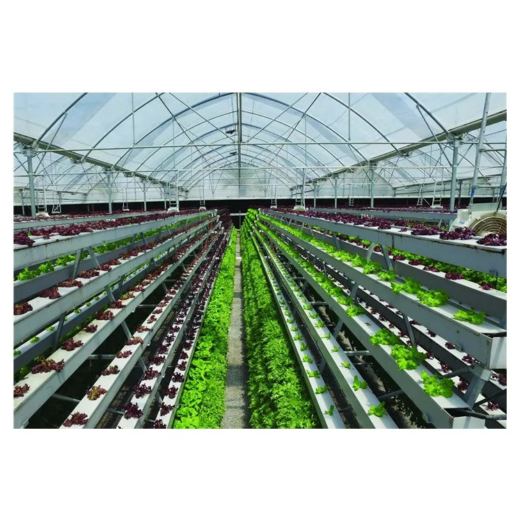 
 Промышленная теплица листовая овощная NFT DFT DWC Гидропоника  