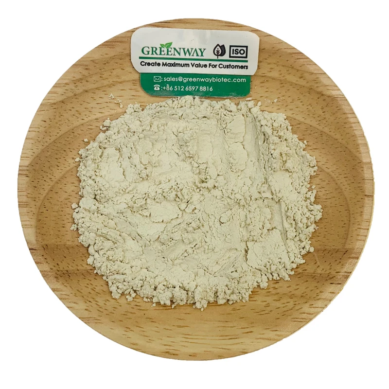 High Quality Hydrogenated Food Grade Soy Lecithin Powder
