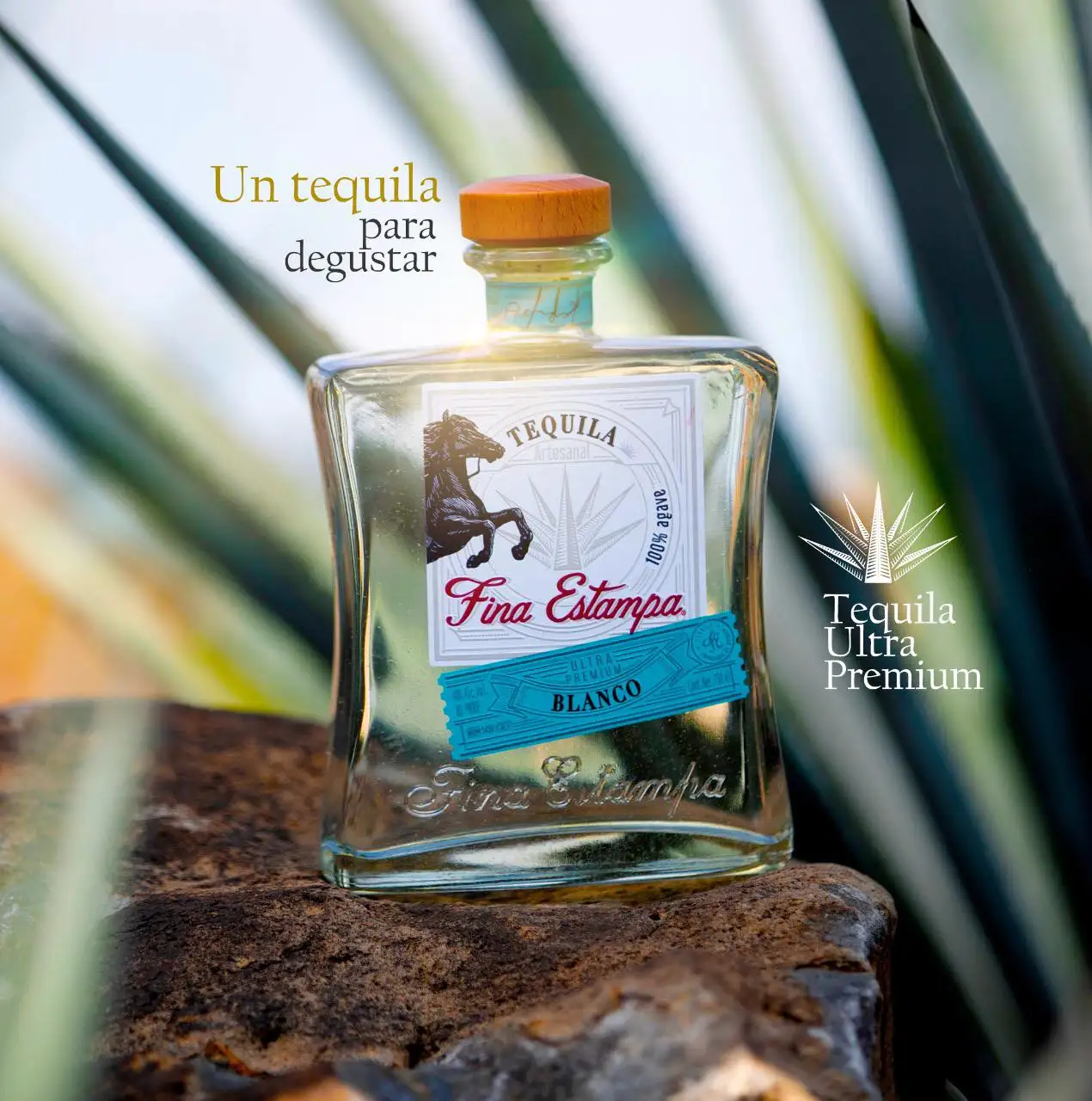 Premium Exotico Commercial Production Drinking Water Bottle Food And Beverage Healthy Agave Alcoholic Drinks Tequila
