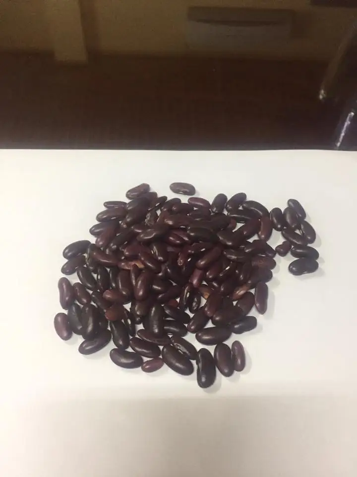  Красная фасоль из Вьетнама для продажи