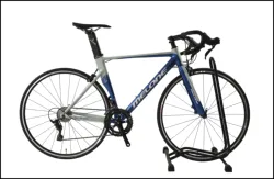 Chile market high quality 700C cycle high carbon steel light weight Men 8 speed road bike