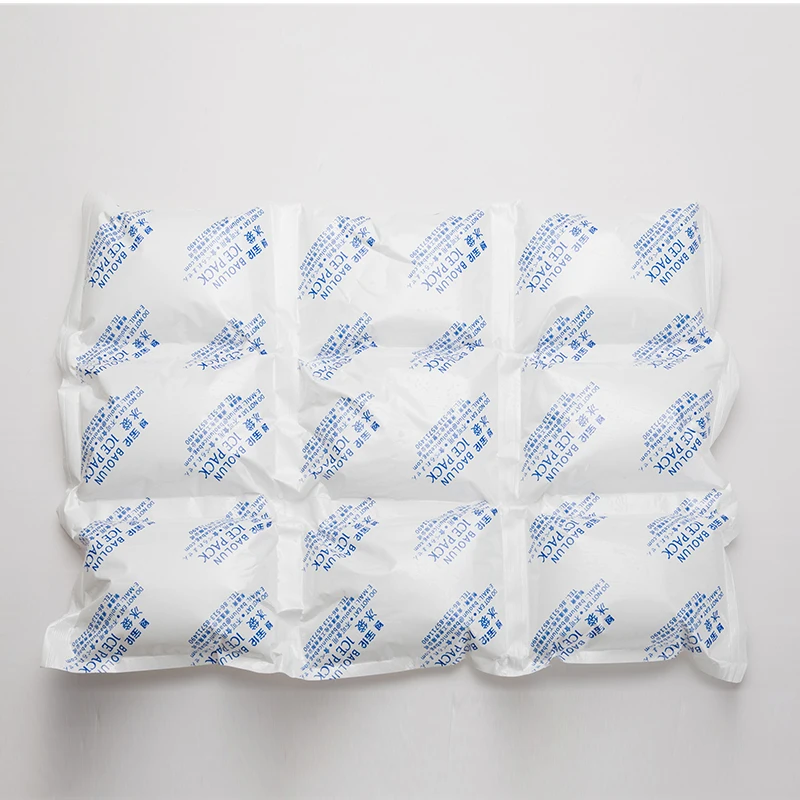 BSG 390*290mm 9pcs in one  Frozen Food Fresh Keep Dry Ice Pack One Piece 24 Cells Ice Cube Bags