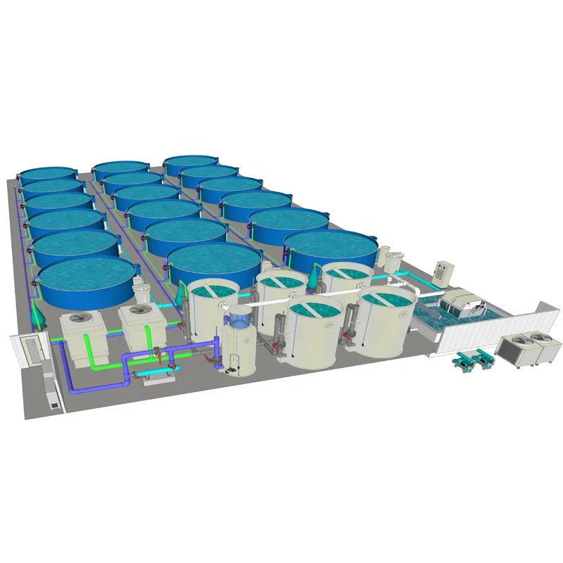 Turnkey design for indoor ras tilapia fish farm recirculating aquaculture system in India