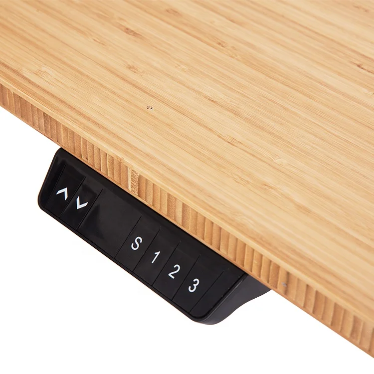Electrical Gaming Adjustable Electric Office Computer Standing Work Desk