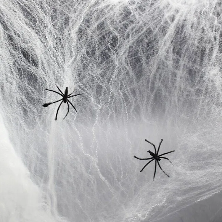 Паутина с 2 пауками 20 г