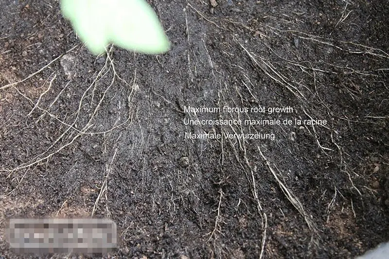 1 / 2 / 3 / 5 / 10 / 20 / 30 / 40 / 50 / 100 / 200/300gallon high quality long time grow bags