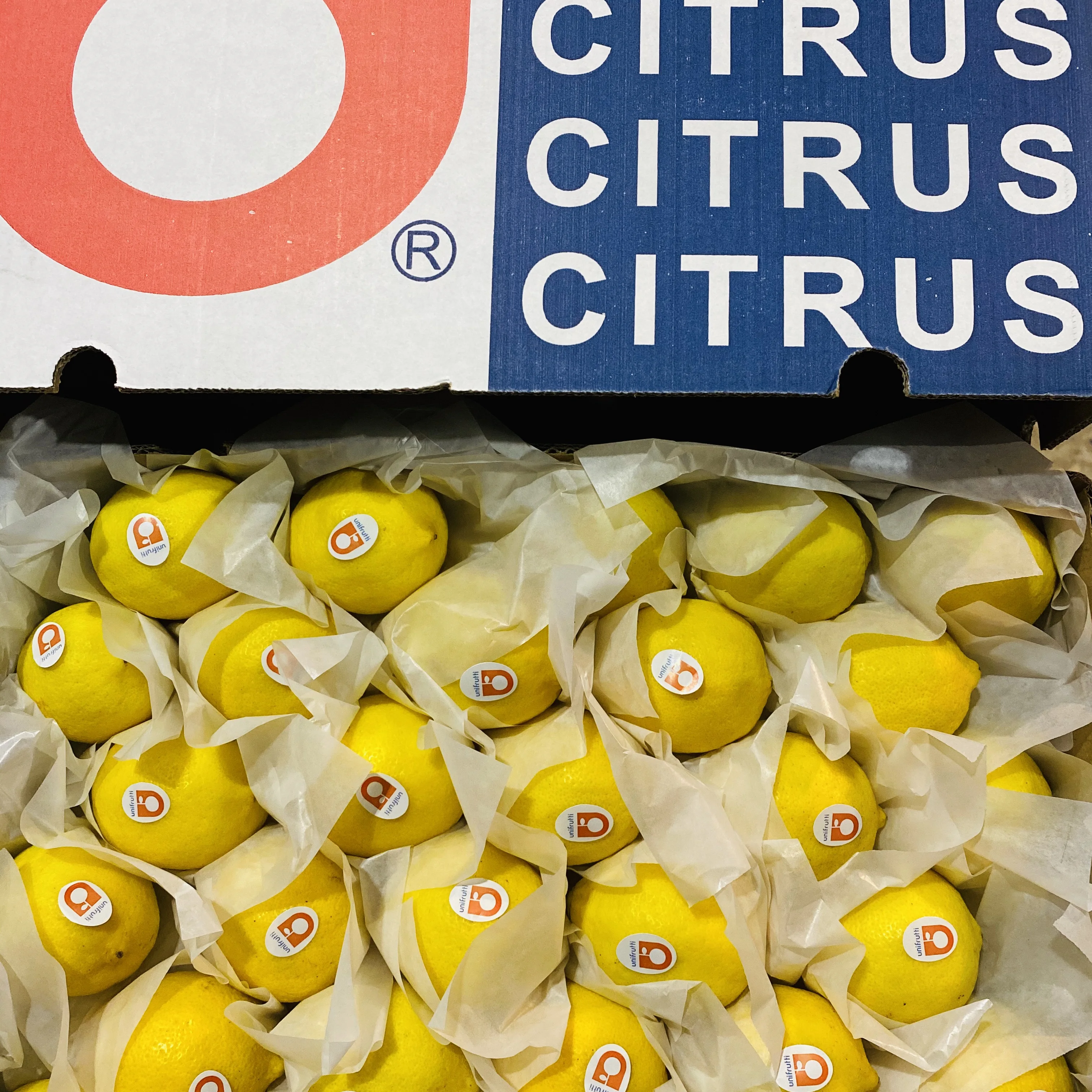 Fresh Eureka lemon from CHINA