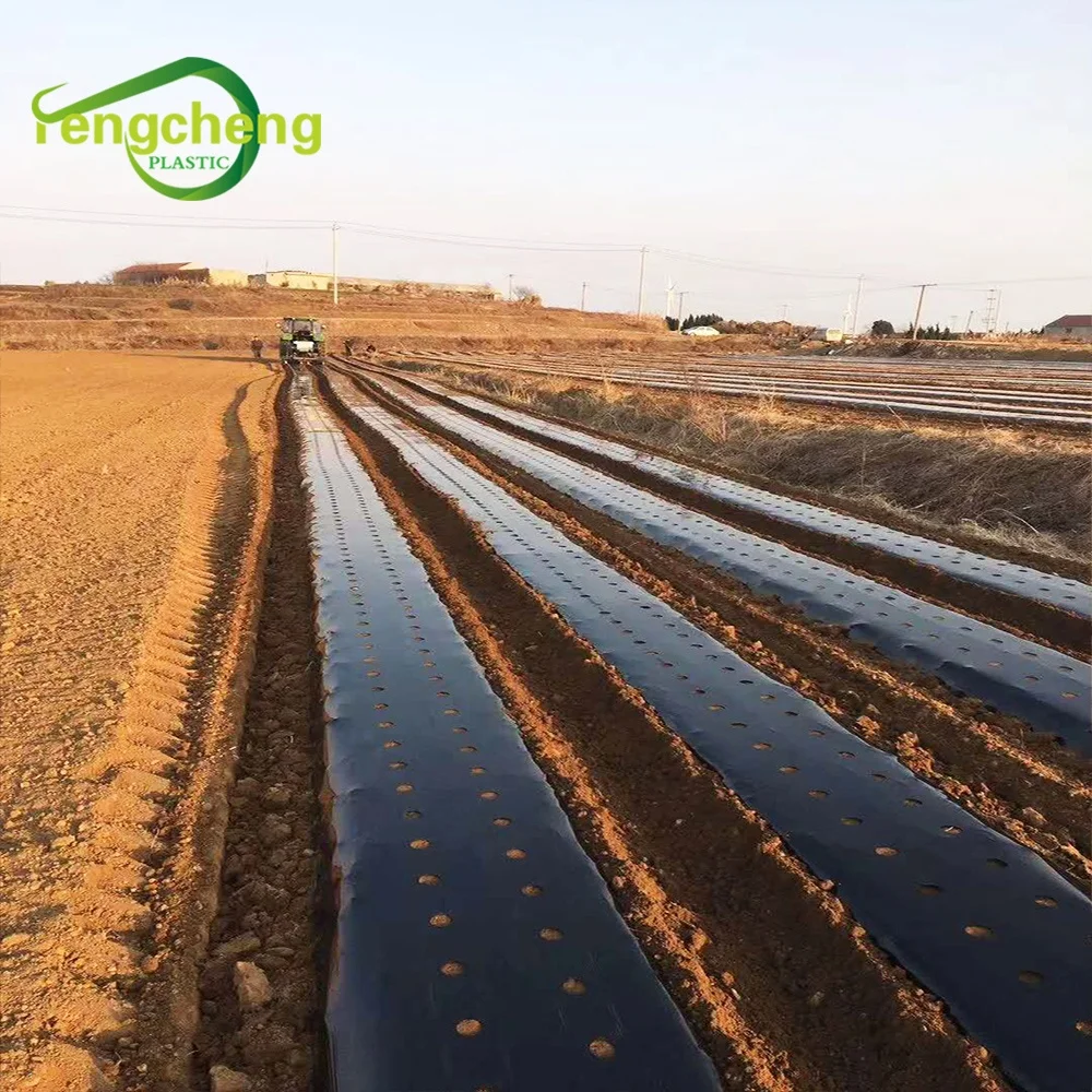 factory price perforated plastic ldpe mulch film / mulching paper agricultural for seeding