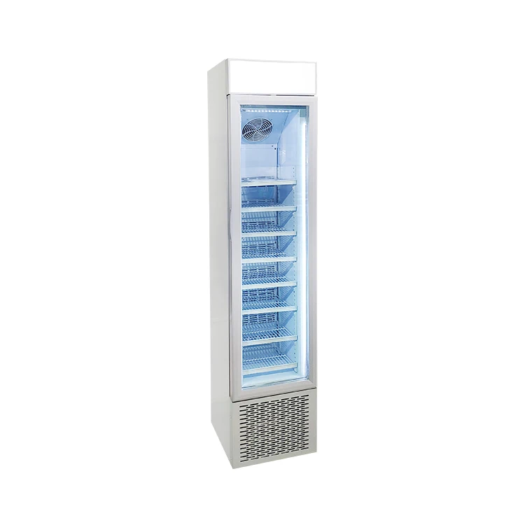Meisda Hot Sale SD105B-G Single-Temperature Upright Deep Freezer for Ice Cream Popsicles 105L Capacity