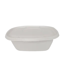 Recycle Sugarcane Bagasse Container With Lid Take Out Biodegradable Containers Biodegradable Container Food Take Out Box