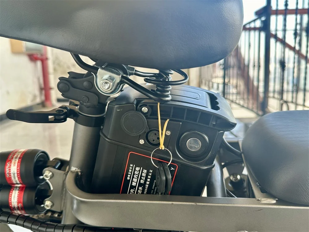 Ready To Ship  Dual Disc Brake 400W 20Ah Foldable 14 Inch City Bicycle Electric Bicycle with Two Seats