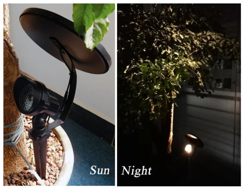 paste-pic-dp_uuid_vmwxj