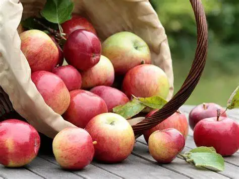 Оптовая продажа сладкий вкус сладкая свежая красная