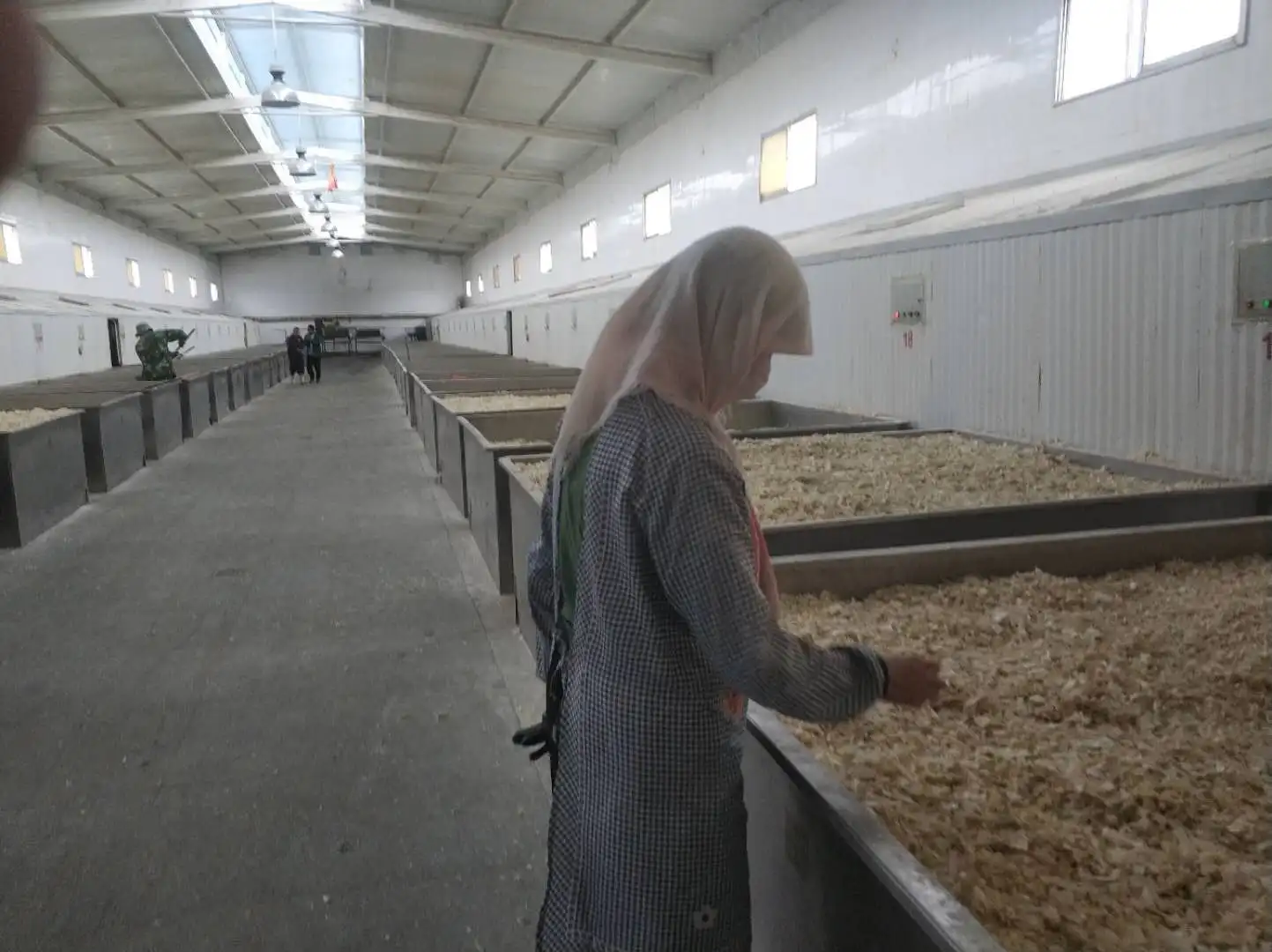 low price of Dried Dehydrated white Onion