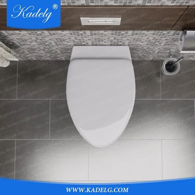 
Factory Price Sanitary Ware Modern Human Water Flush Toilet without Cistern 