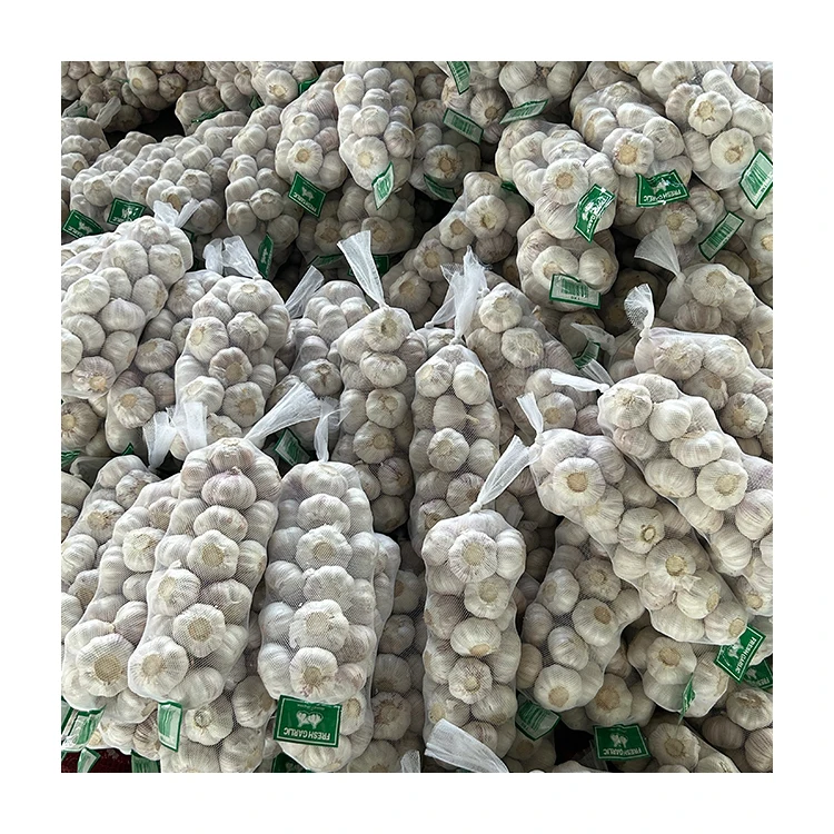 China Fresh Garlic Price Wholesale Seeds for Sale Normal White Imported Peeled Export